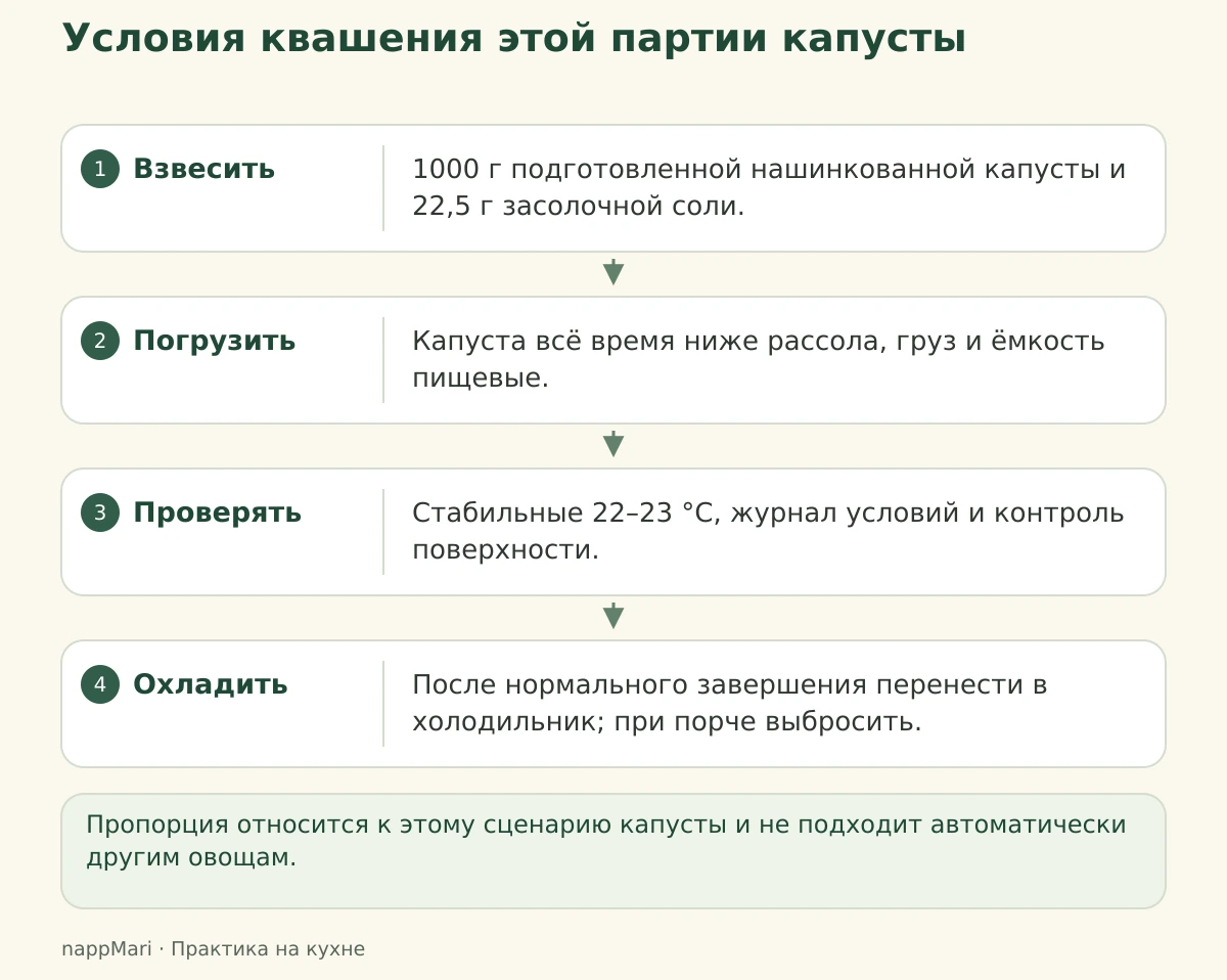 Четыре условия: точная соль, погружение, контроль и холодное хранение